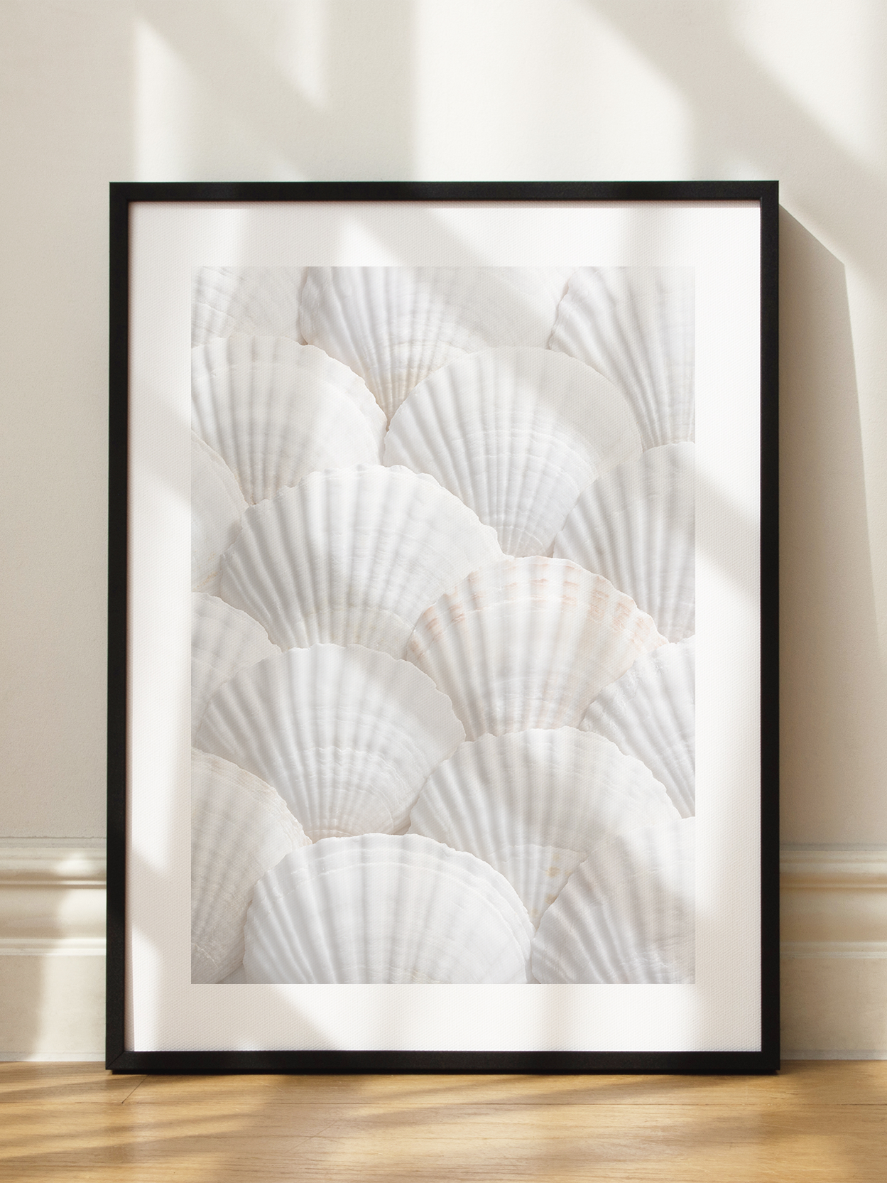 White Shells Poster