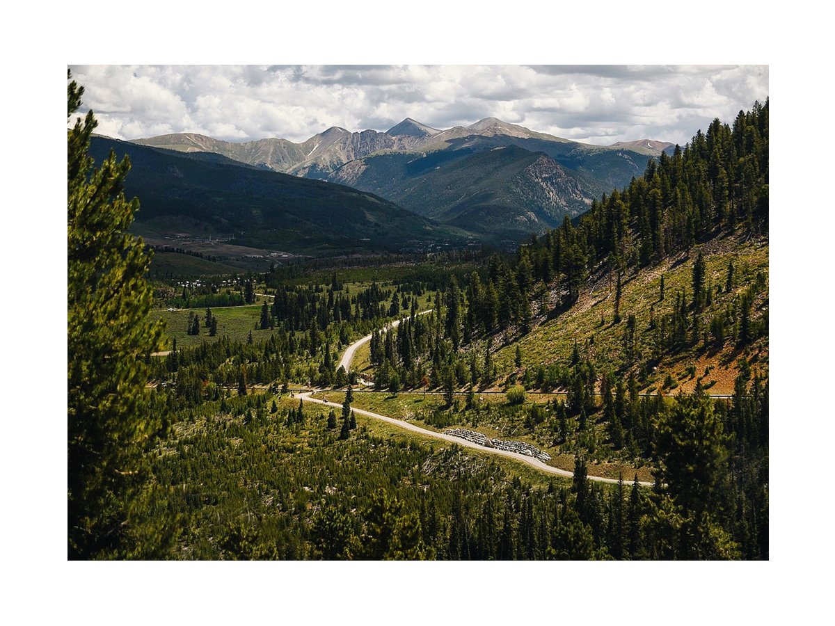 Winding Road Poster