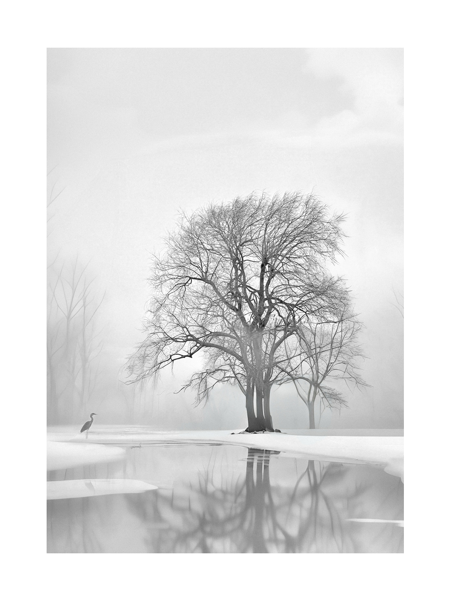 Winter Reflection Poster
