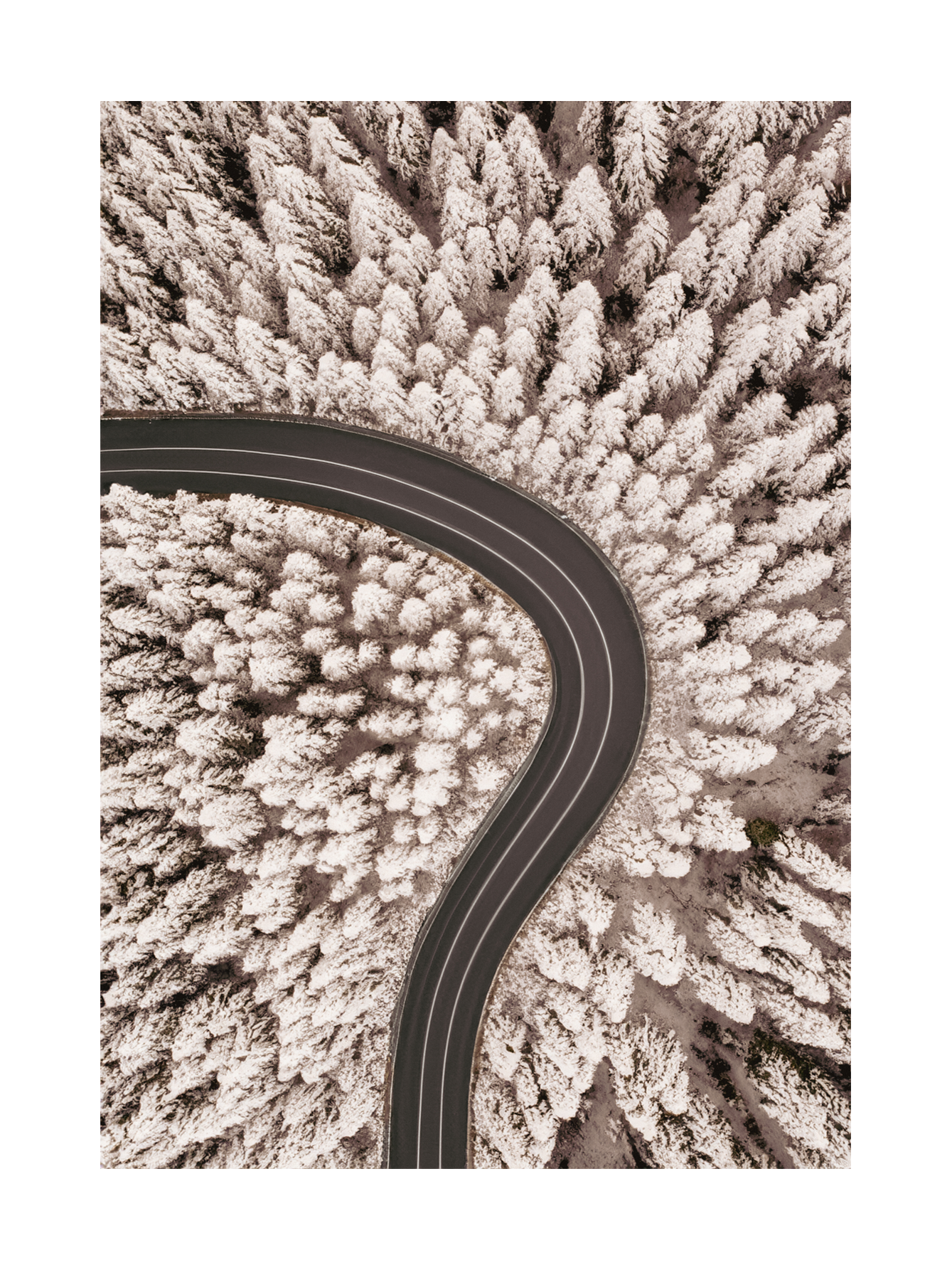 Winter Road Poster