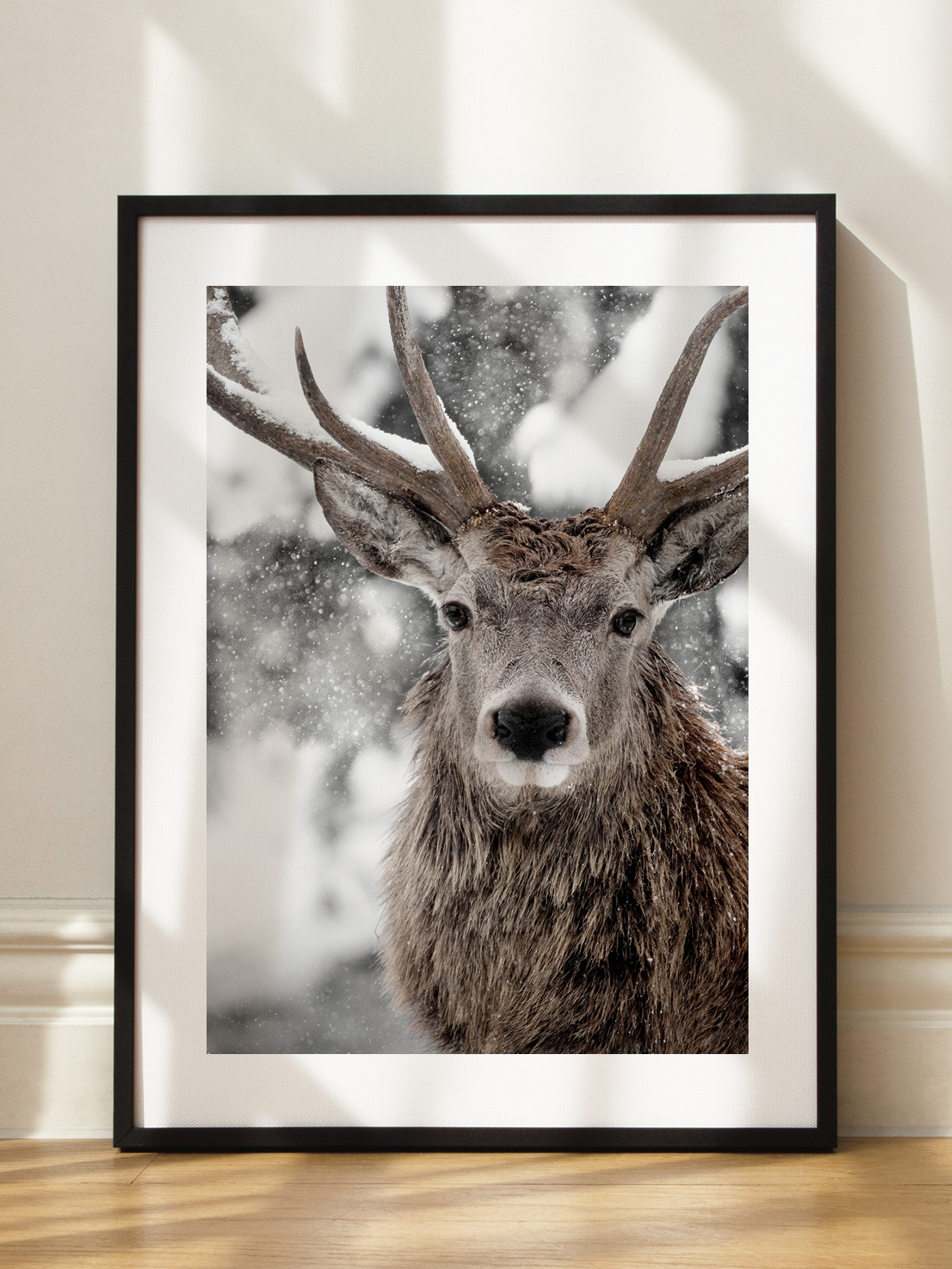 Winter Stag
