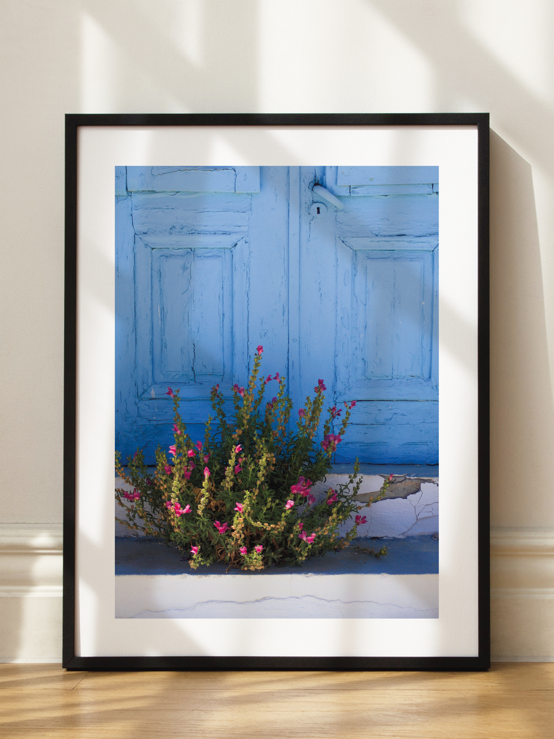 Doorstep Blooms Poster
