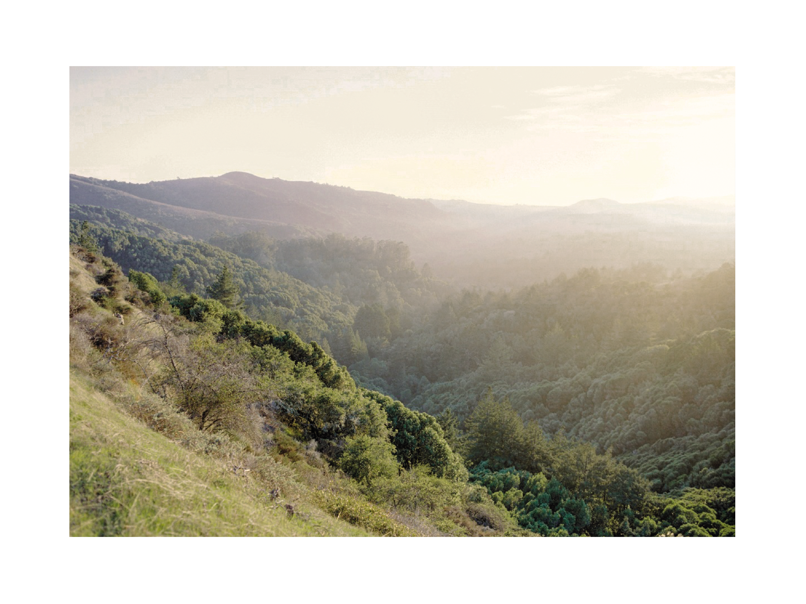 Fotografie einer grünen Landschaft mit Tal und Hügeln im Sonnenlicht.