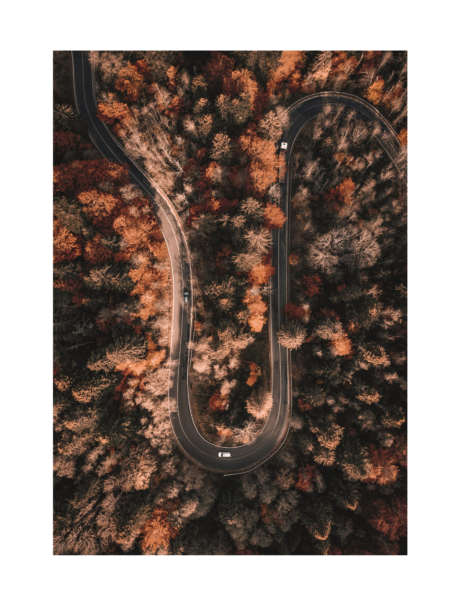 Autumn Road Poster