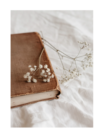 Ein altes Buch mit weißen Trockenblumen darauf, auf einem weißen Hintergrund.