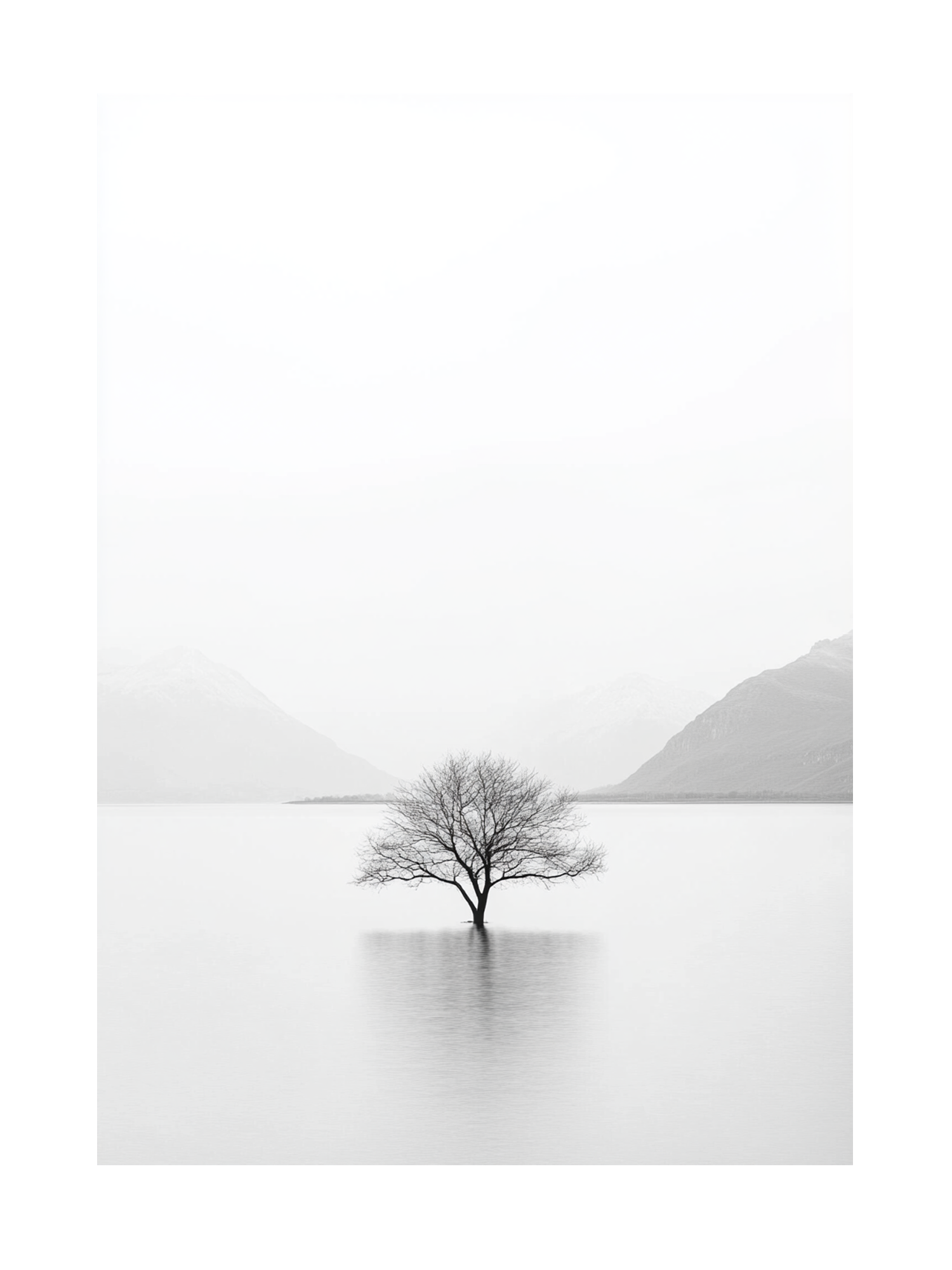 Solitary Tree At Dawn