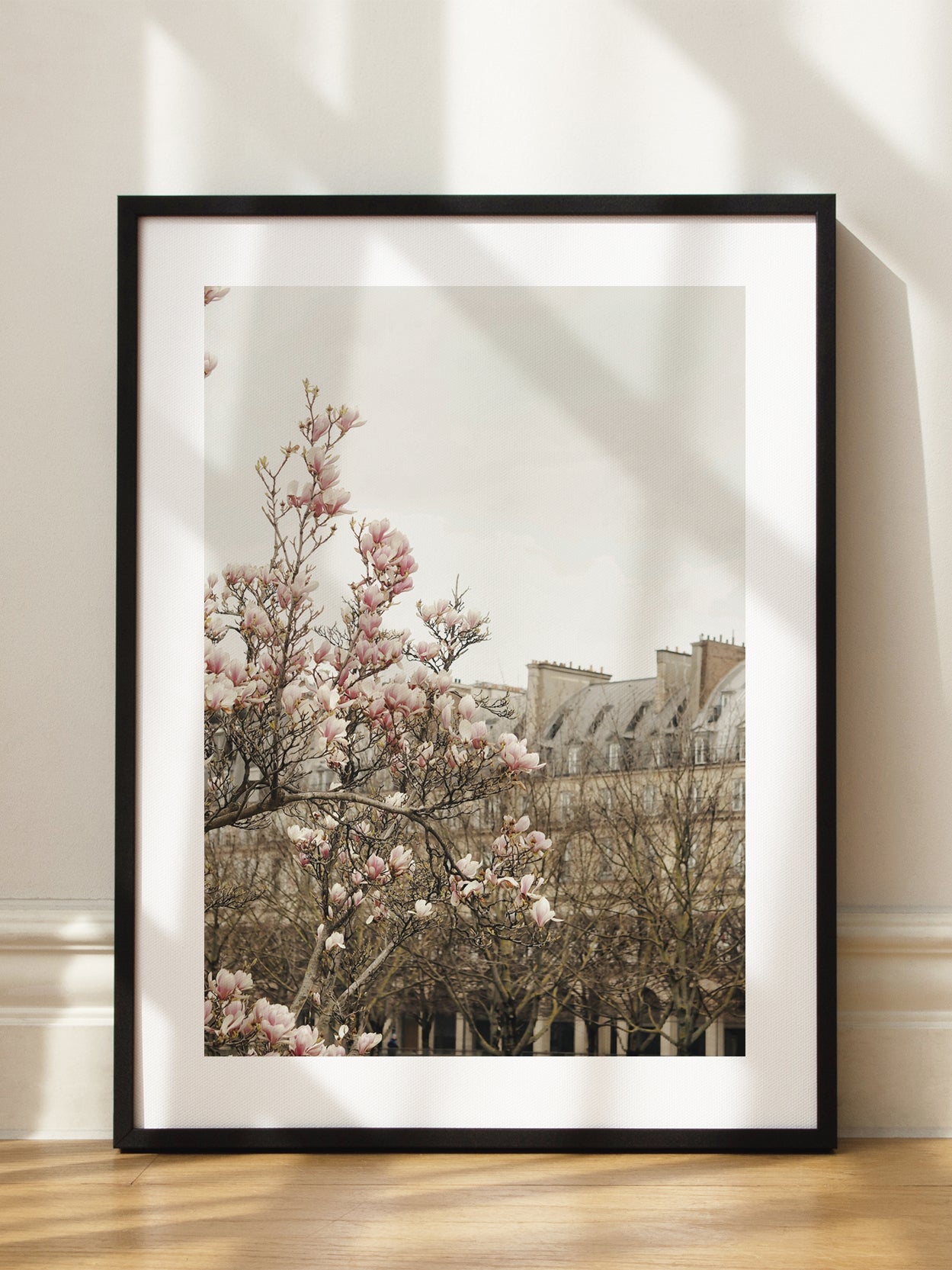 Spring Blossoms in Paris