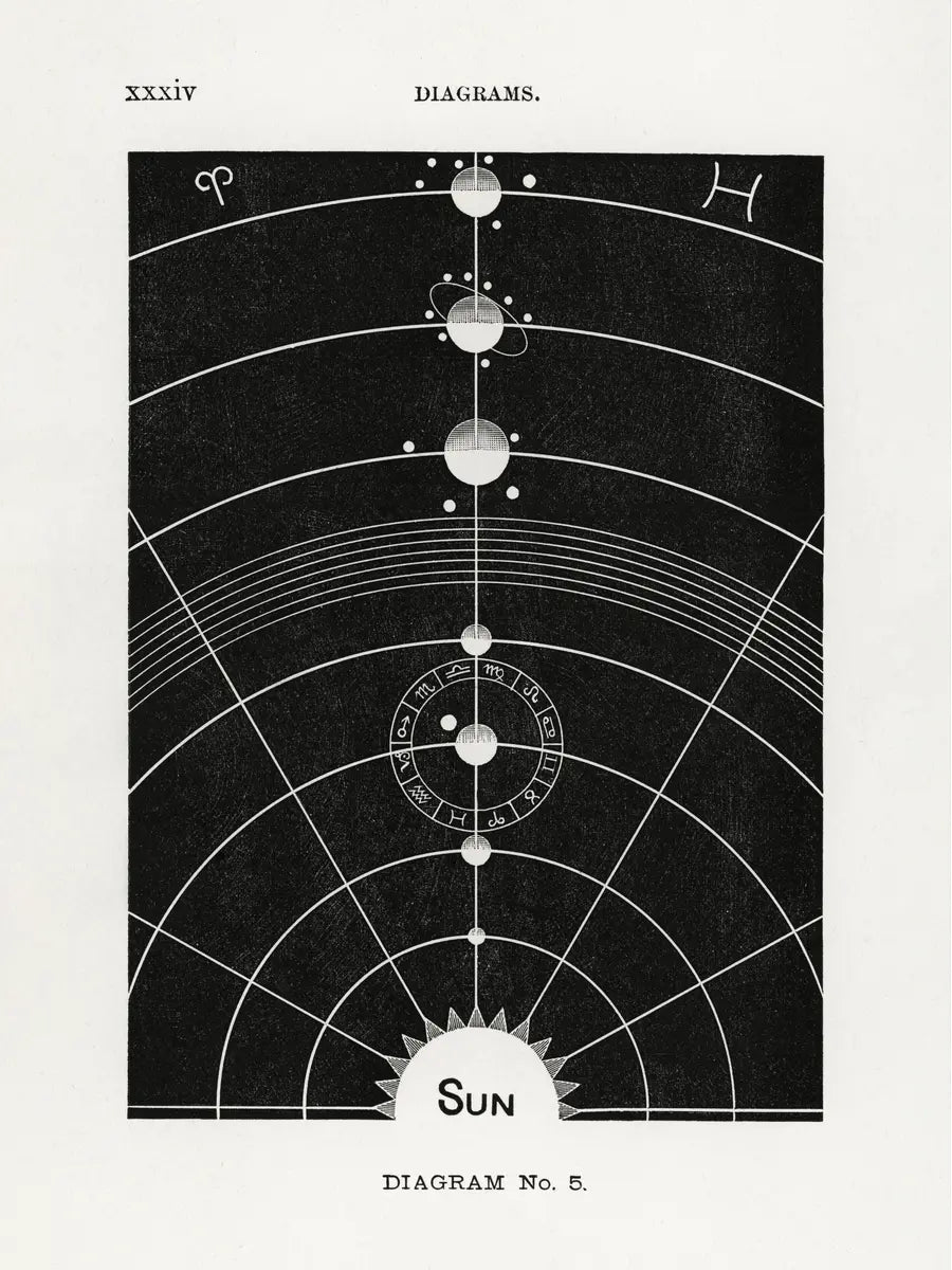 Solar Biology No1 Poster