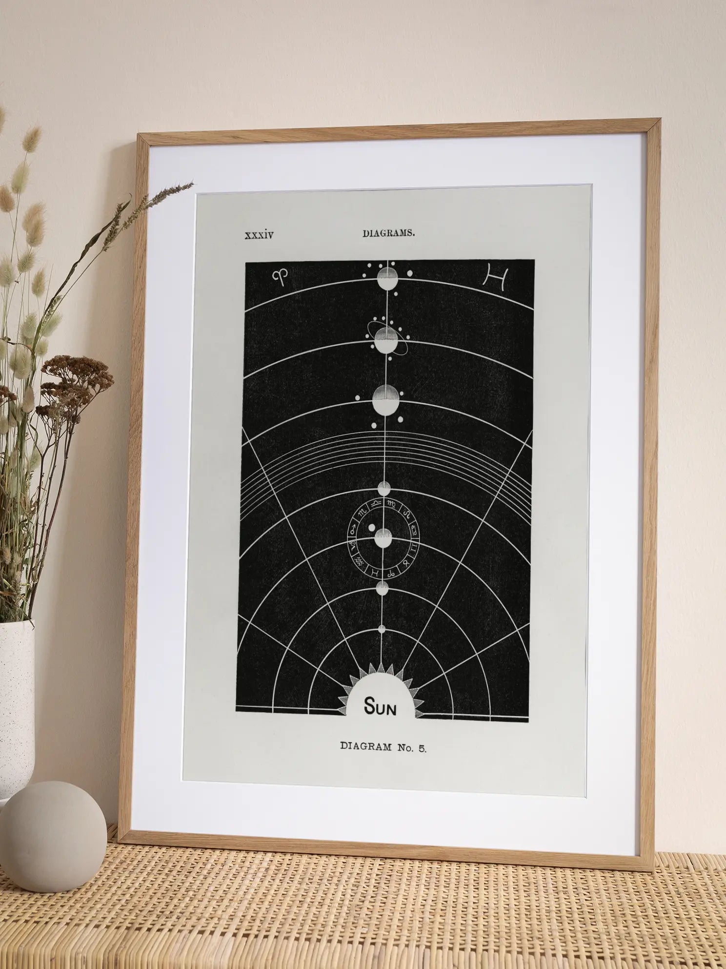 Solar Biology No1 Poster