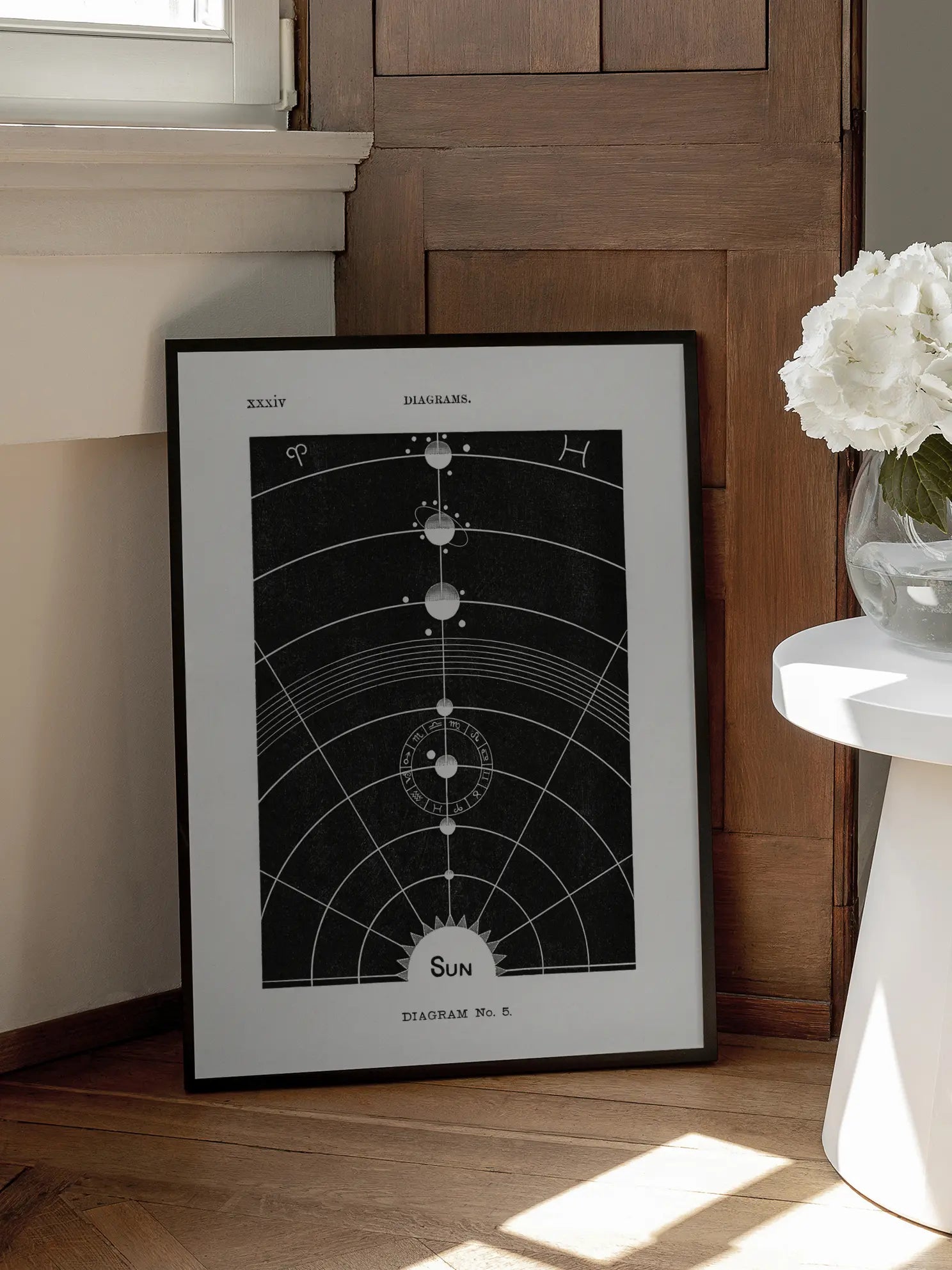 Solar Biology No1 Poster