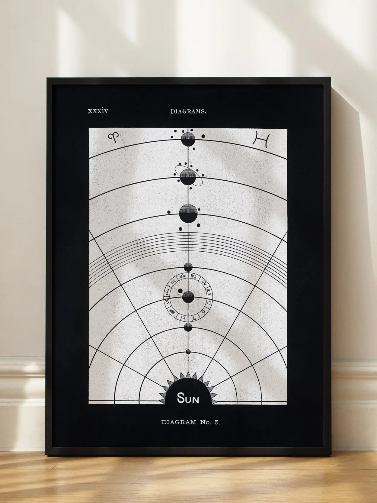 Solar Biology No2 Poster