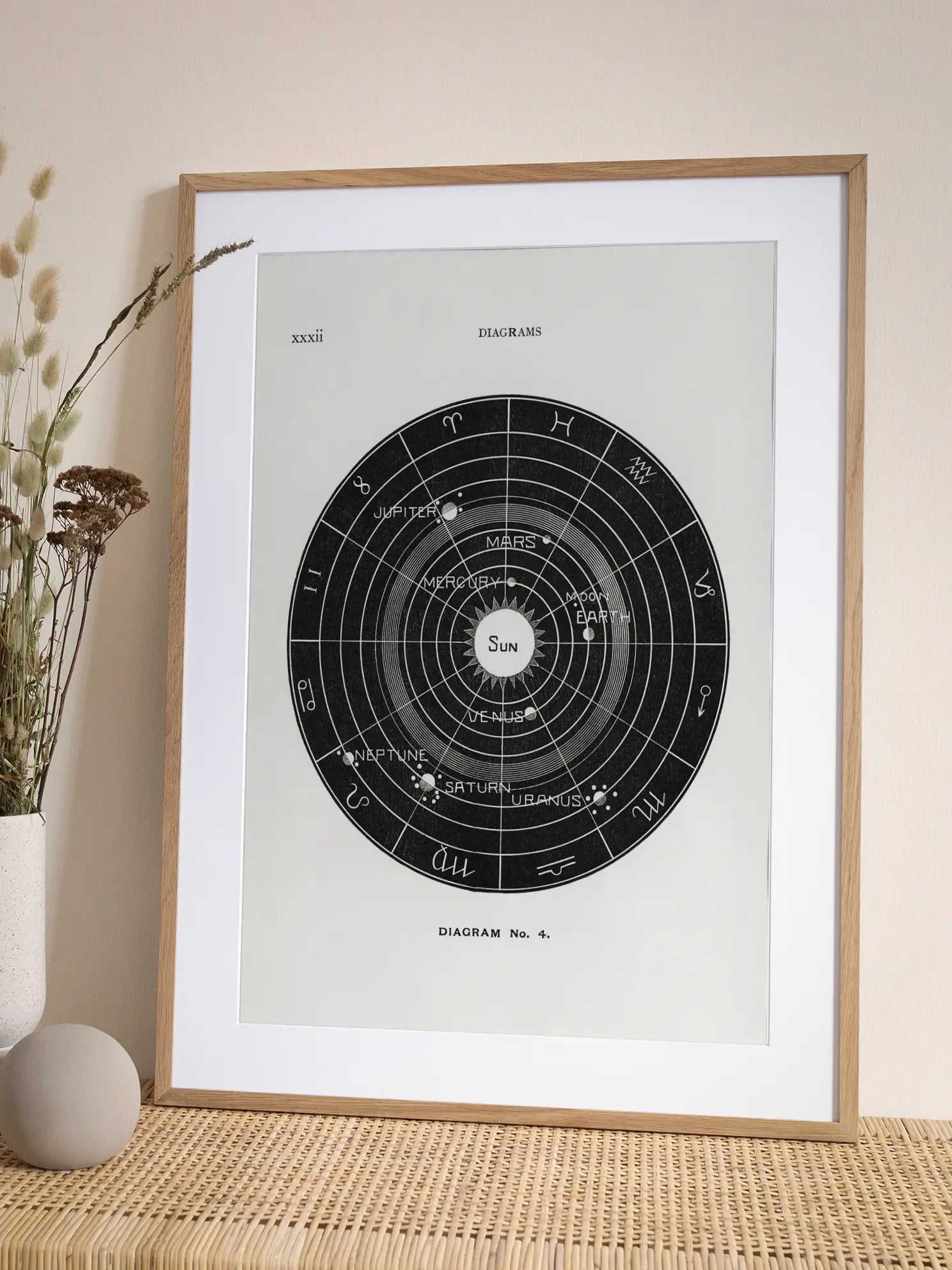 Solar Biology No3 Poster