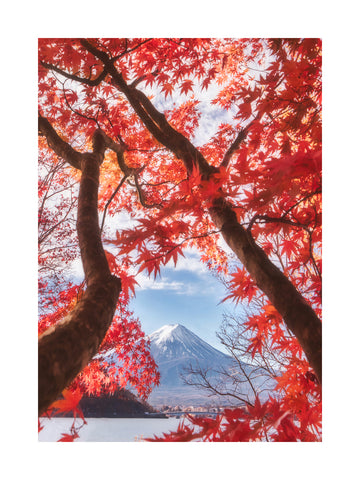 Fotografie von Mt. Fuji, umrahmt von rotem Herbstlaub.