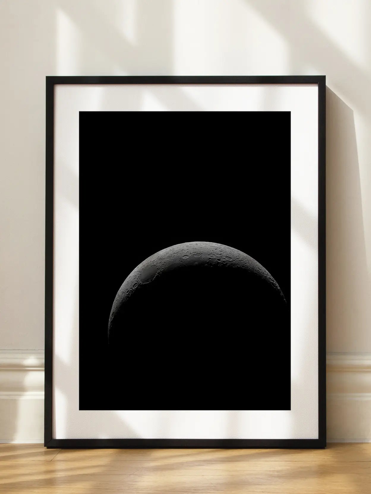 Moon in Black and White