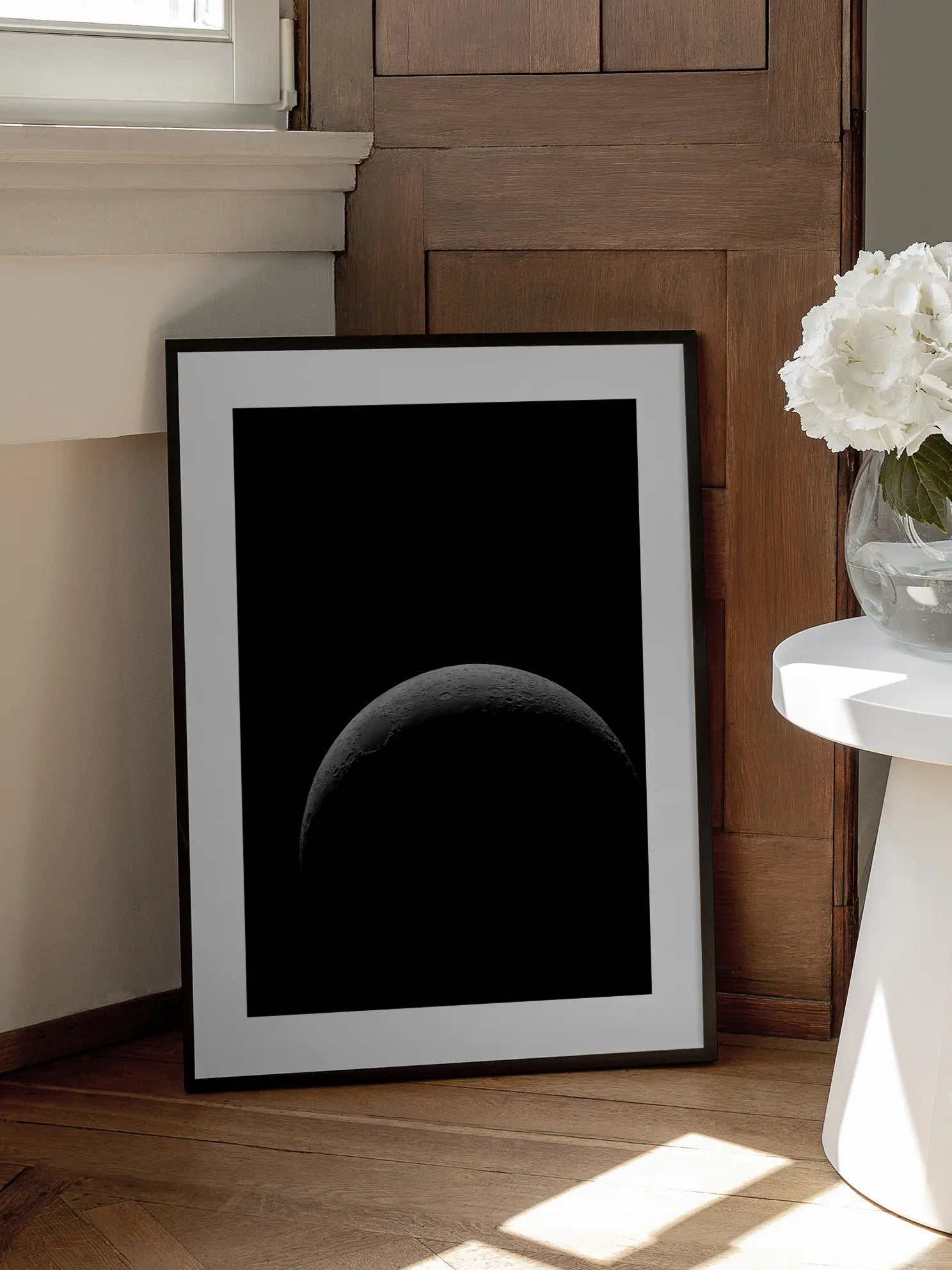 Moon in Black and White Poster
