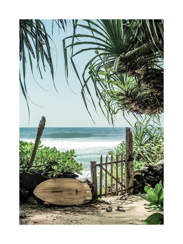 Fotografie eines Strandes mit Surfbrett und grünen Pflanzen im Vordergrund.