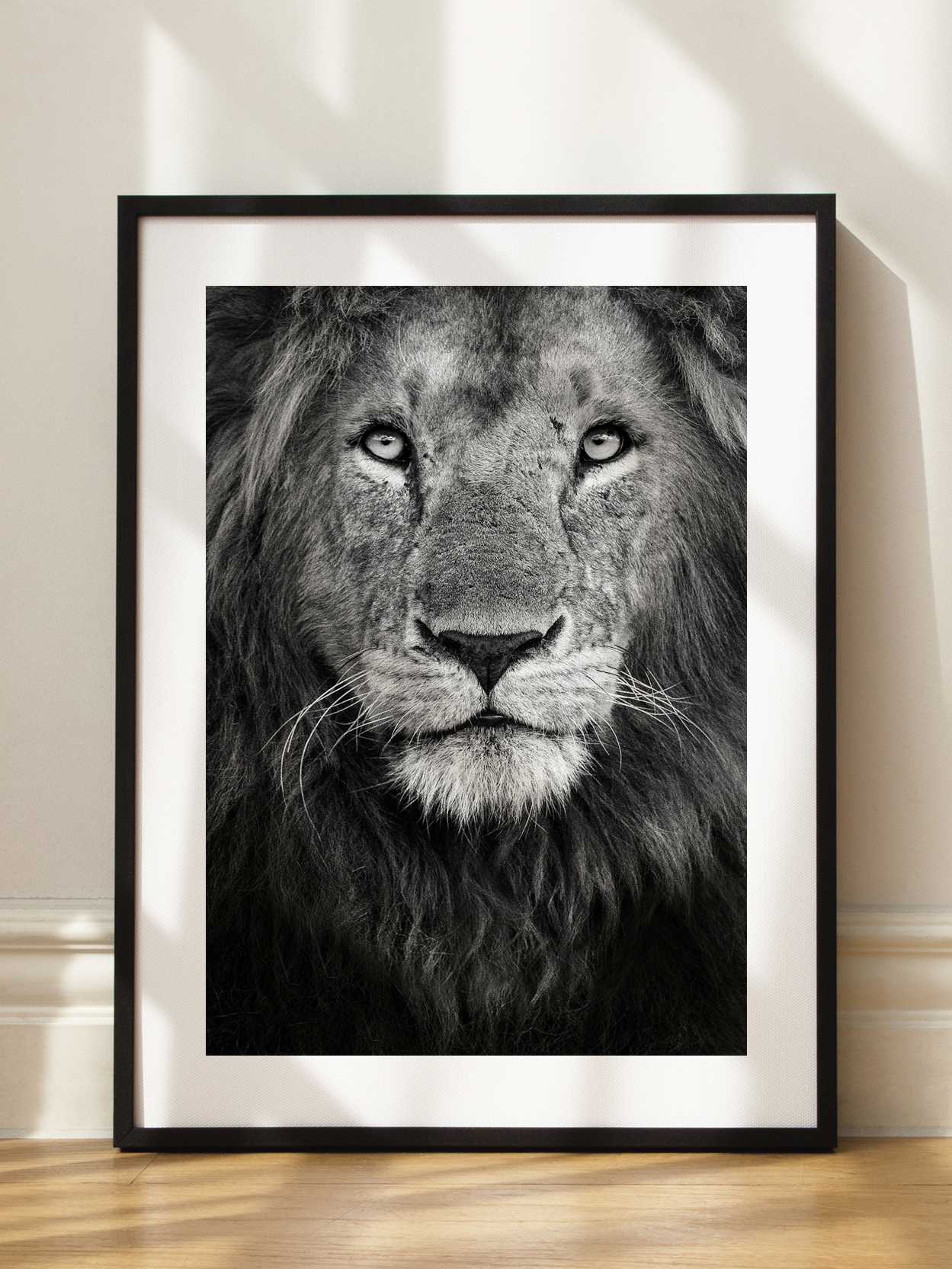 Lion Portait