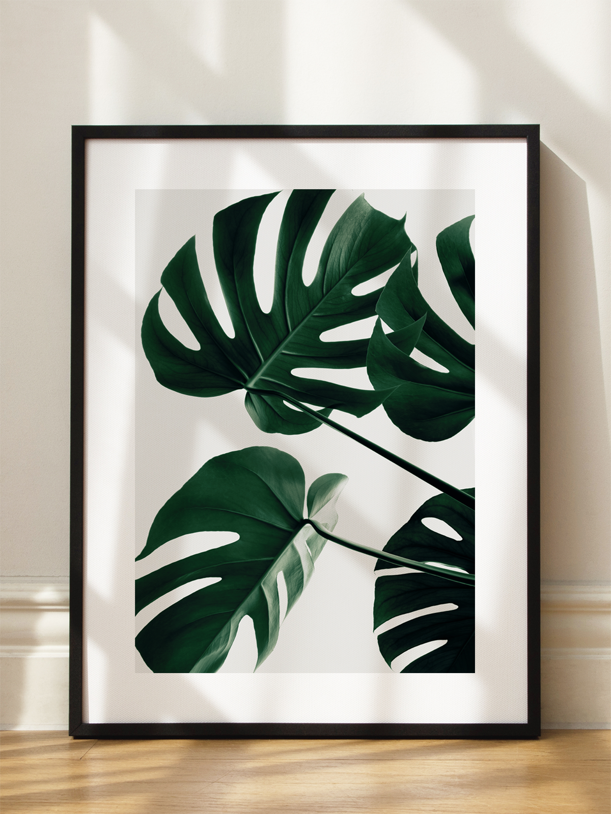 Monstera No1