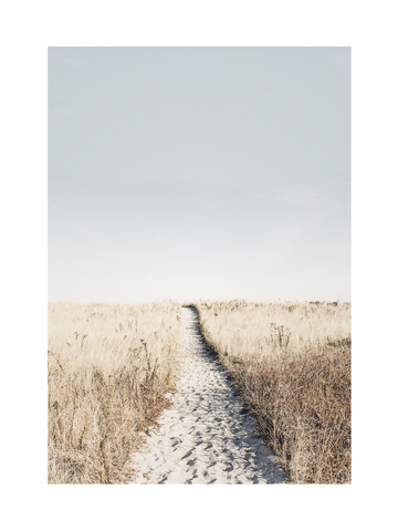 Fotografie eines Sandwegs durch ein Feld mit beigem Gras und blauem Himmel im Hintergrund.