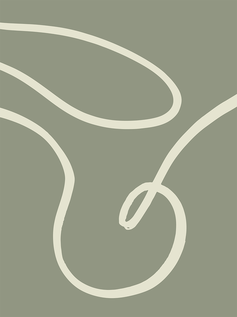 Illustration mit abstrakten weißen Linien auf grünem Hintergrund.