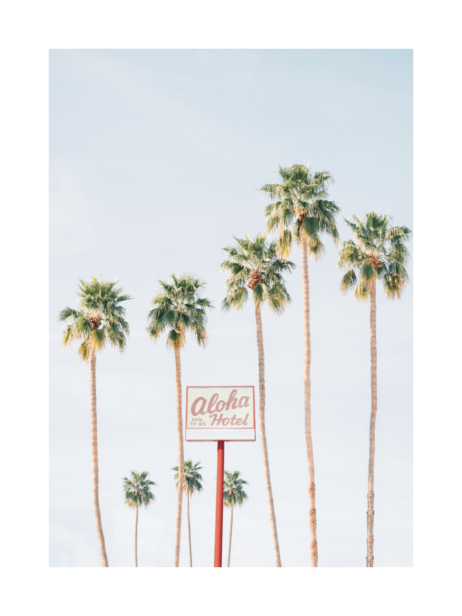 Fotografie eines Hotelschilds mit Palmen und Himmel im Hintergrund.