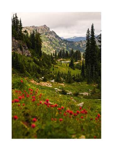 Berglandschaft mit grünen Wiesen und roten Wildblumen unter bewölktem Himmel.