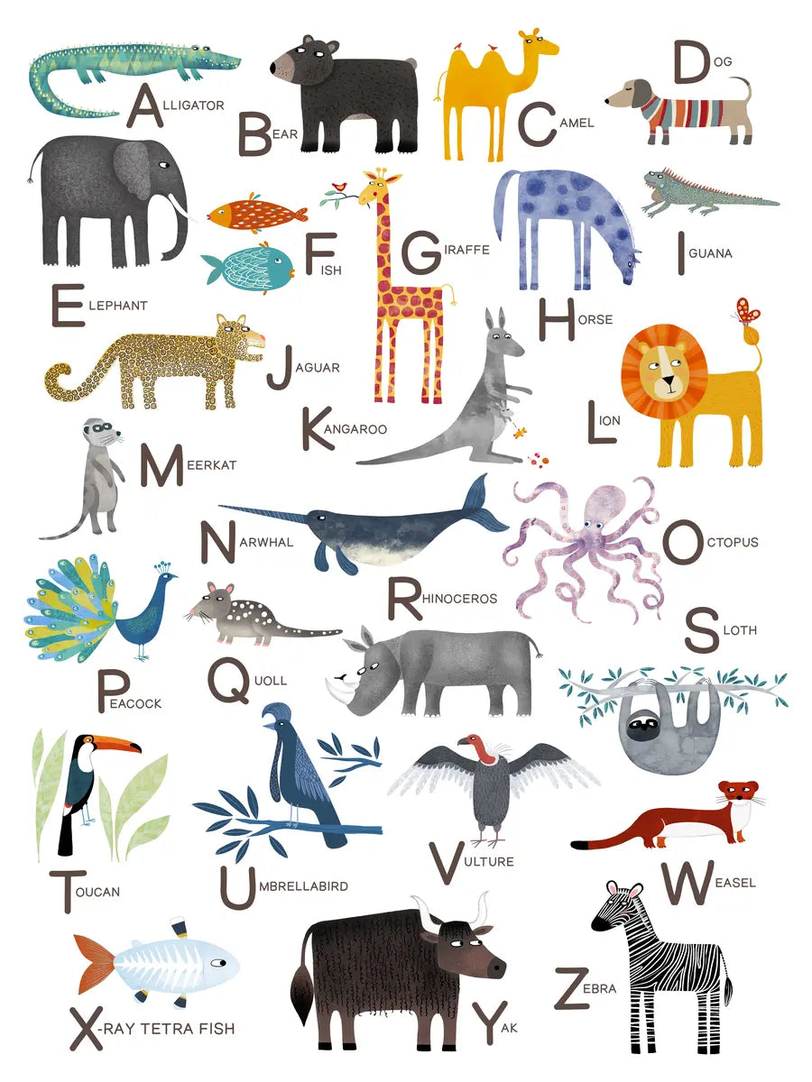 Poster mit dem Alphabet und Tieren von A bis Z, darunter Alligator, Bär, Kamel und Zebra.