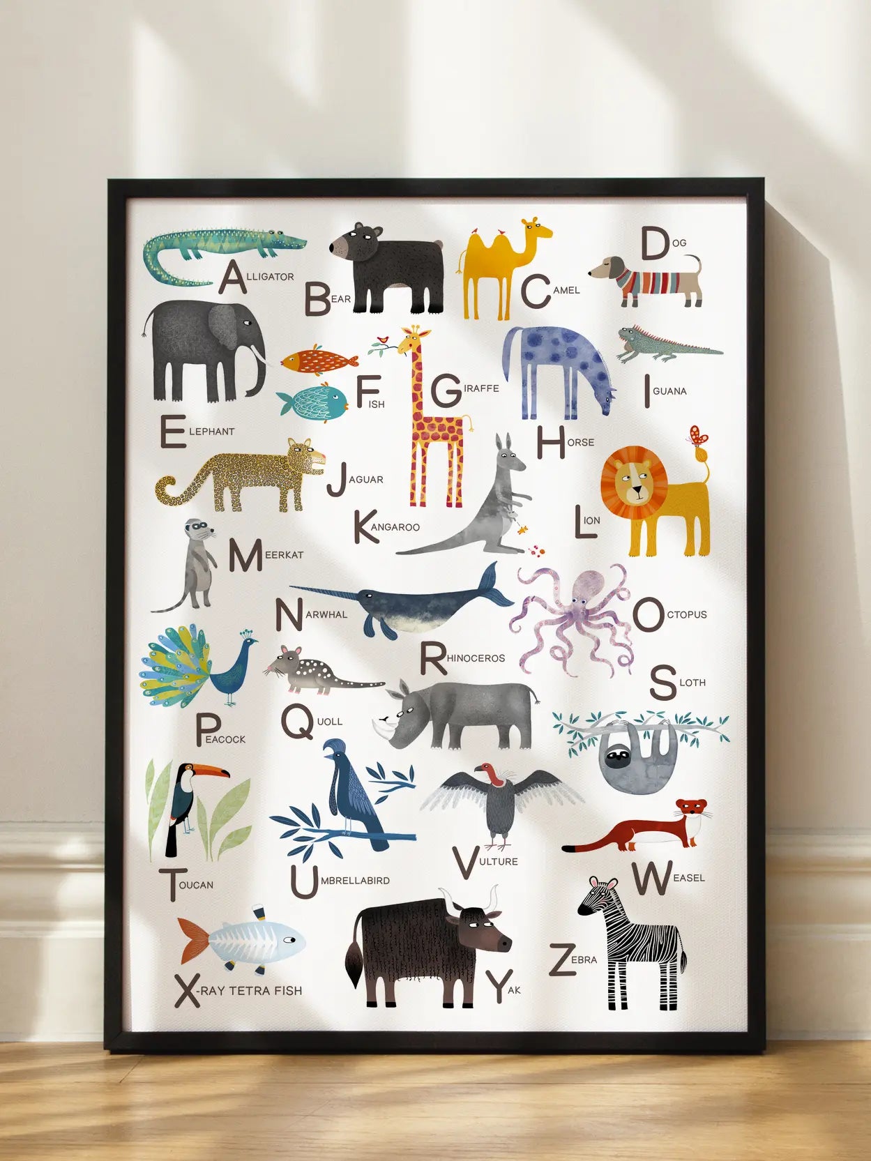 Animal Alphabet ABC