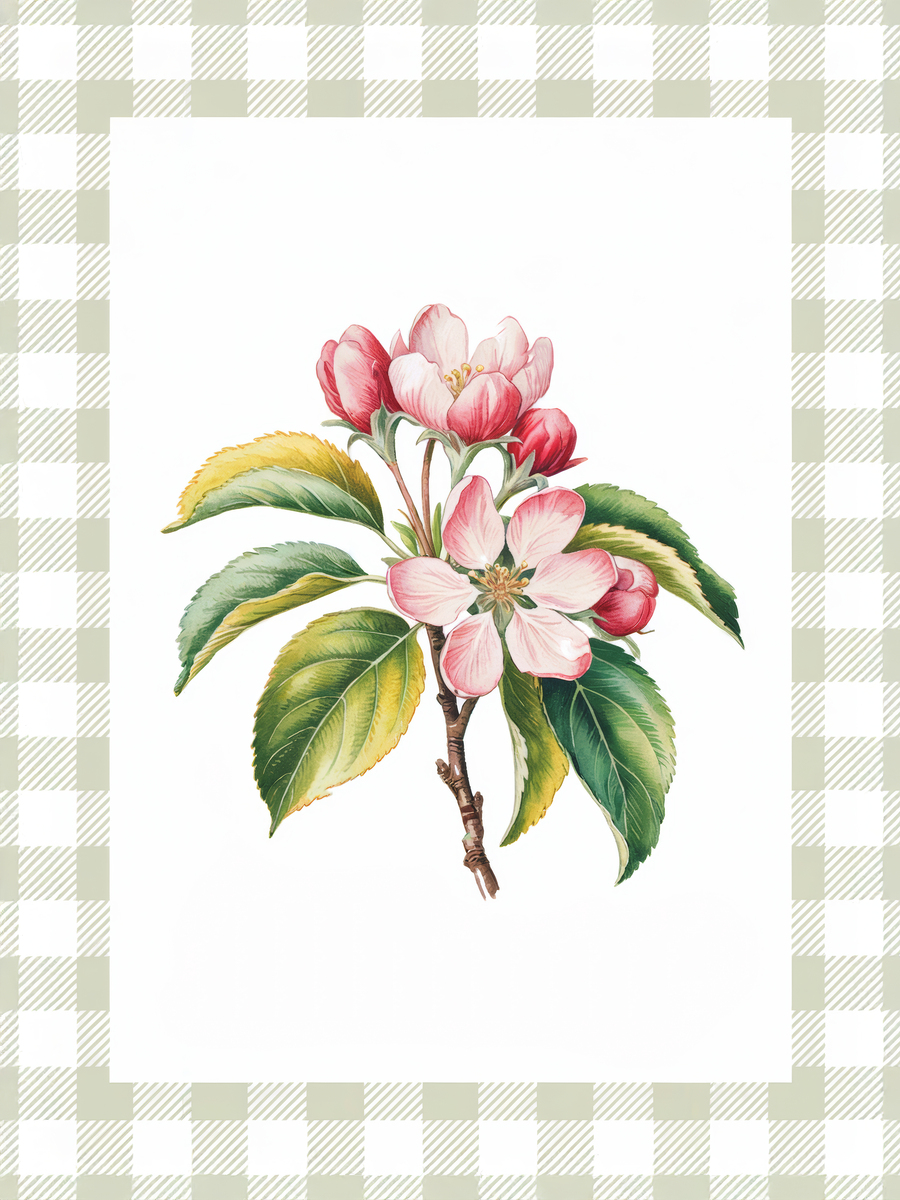 Apple Blossom Botanical Poster