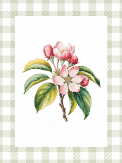 Illustration von Apfelblüten mit einem beigen und weißen karierten Rahmen.