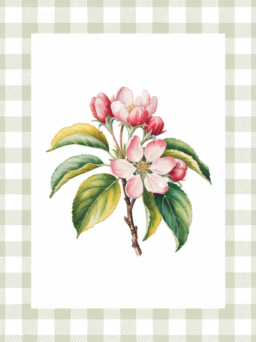 Illustration von Apfelblüten mit einem beigen und weißen karierten Rahmen.