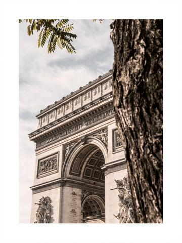 Fotografie des Arc de Triomphe in Paris mit einem Baum im Vordergrund.