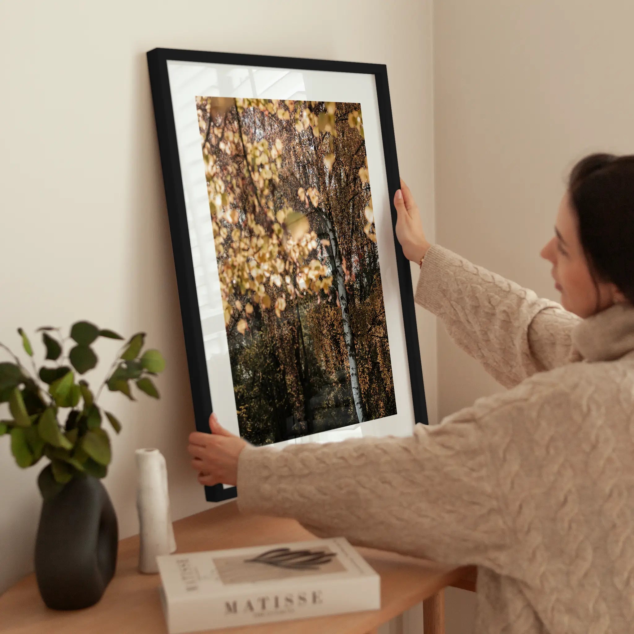 Autumn Birch wird aufgehängt