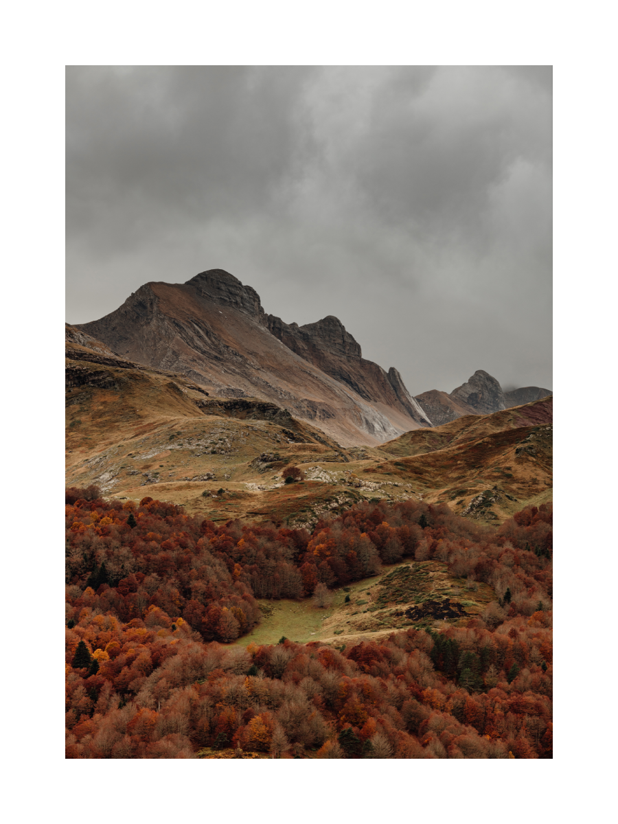 Fotografie einer herbstlichen Berglandschaft mit braunen und roten Bäumen.