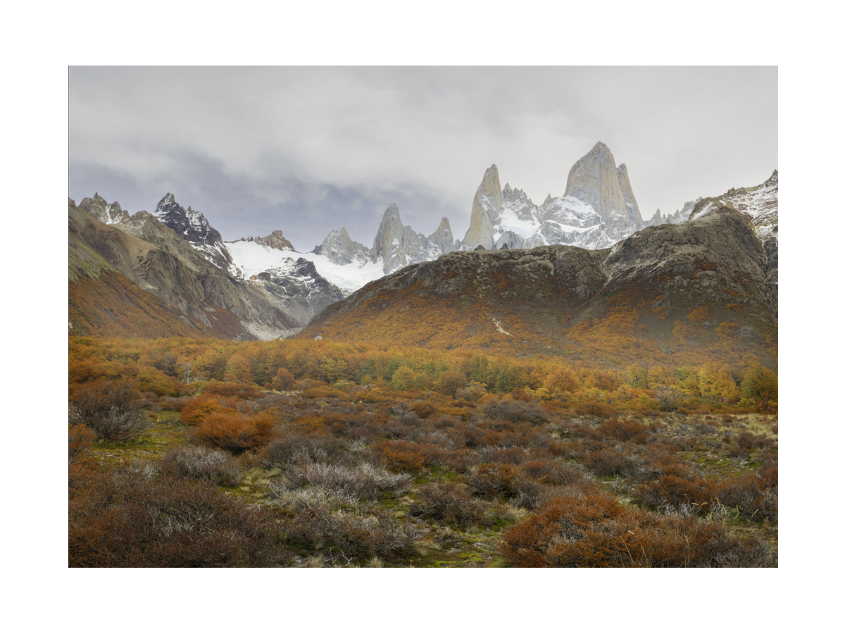 Landschaftsfotografie der patagonischen Berge mit orangefarbenem Feld im Vordergrund.