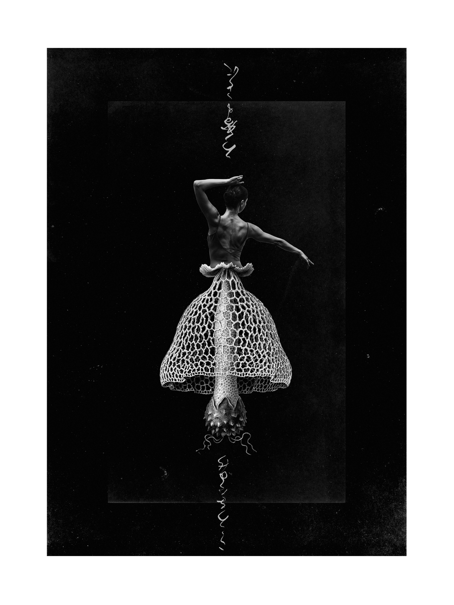 Balletomycota Poster