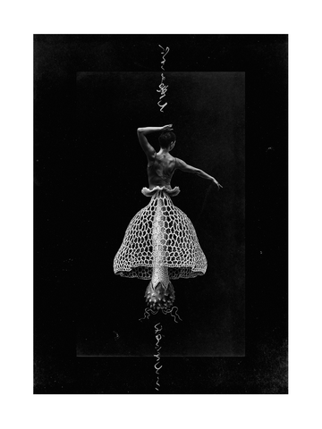 Schwarz-weißes Poster einer Ballerina in einem pilzförmigen Kleid.