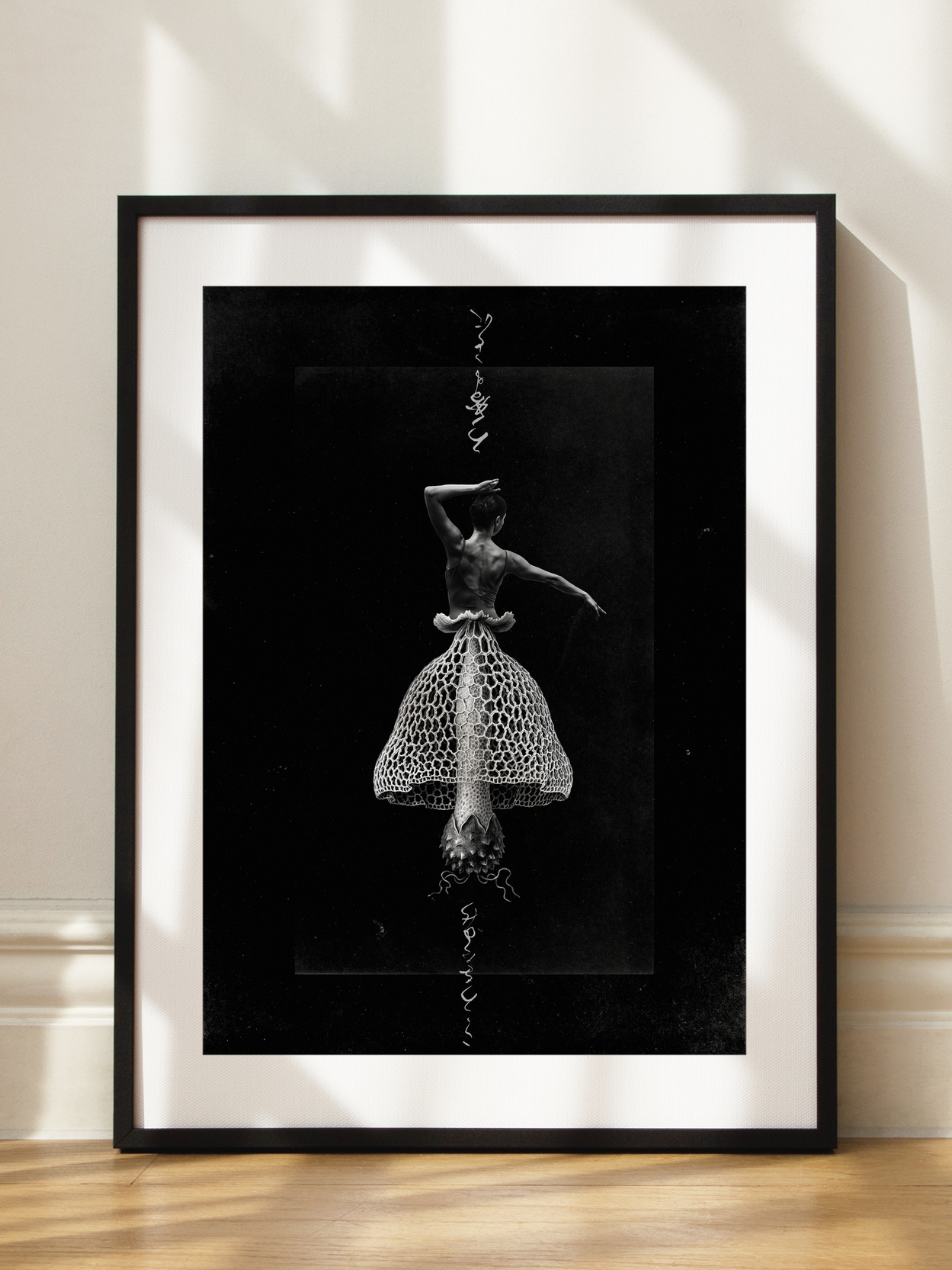 Balletomycota Poster