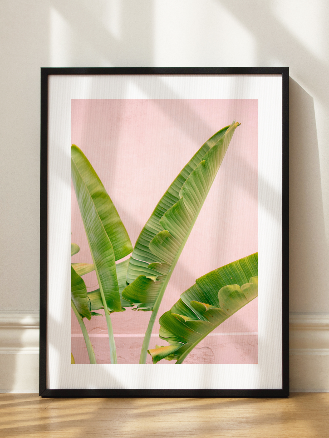 Banana Leaves 2