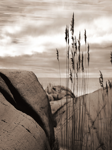 Sepia-Fotografie von Felsen und Gräsern an einer Küste mit bewölktem Himmel.