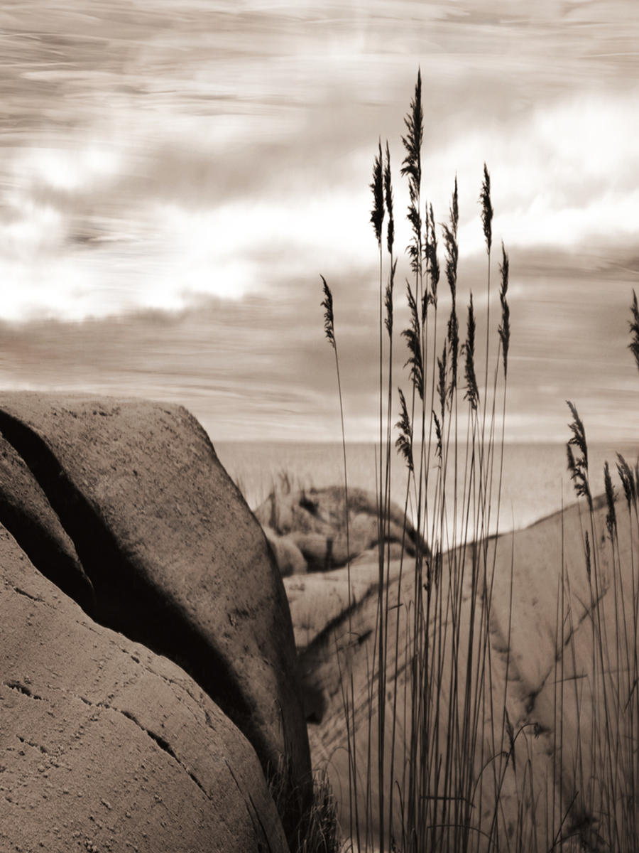 Sepia-Fotografie von Felsen und Gräsern an einer Küste mit bewölktem Himmel.
