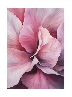 Nahaufnahme von rosa Blütenblättern in verschiedenen Rosatönen.