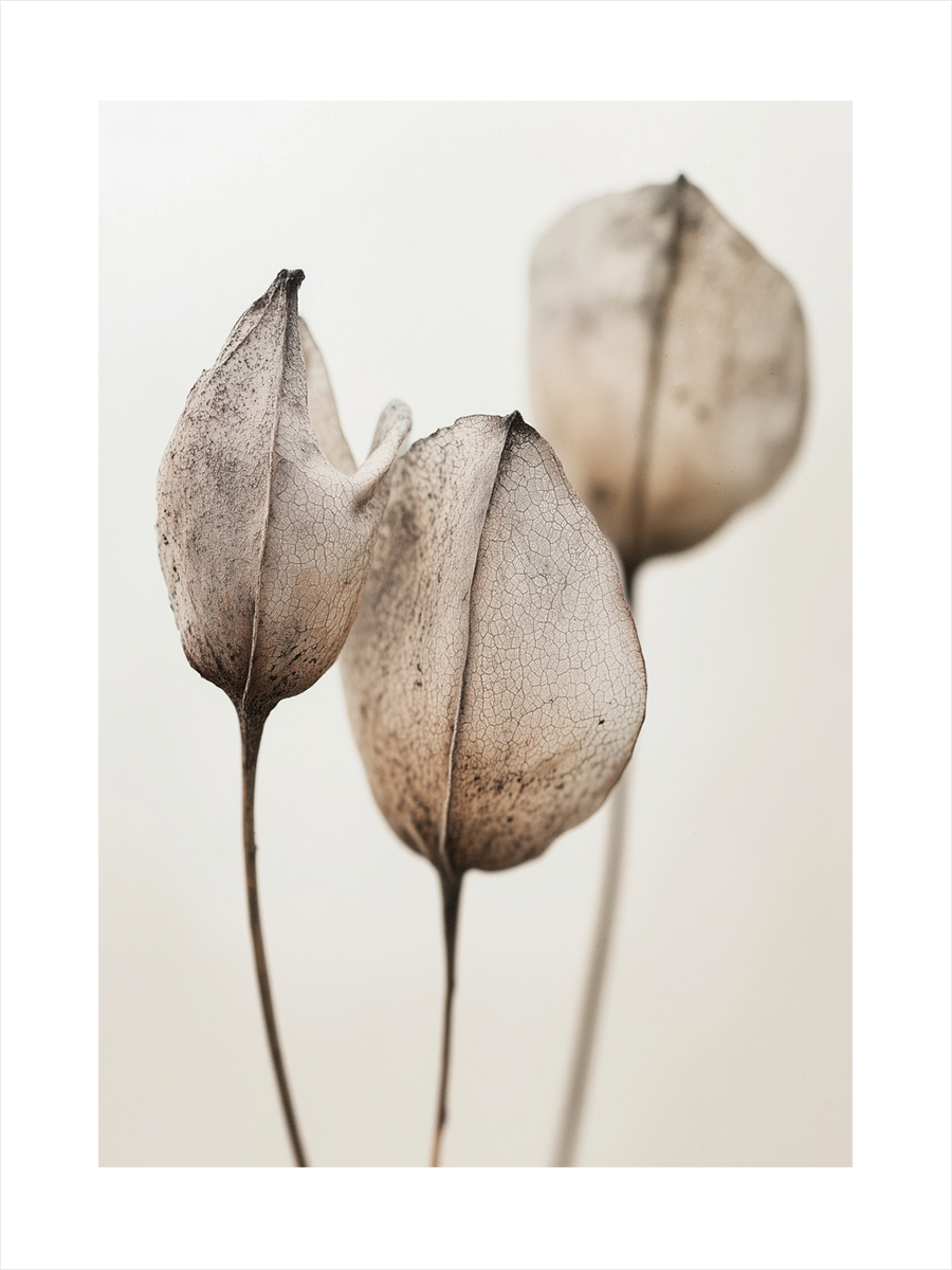 Beige Botanicals Poster