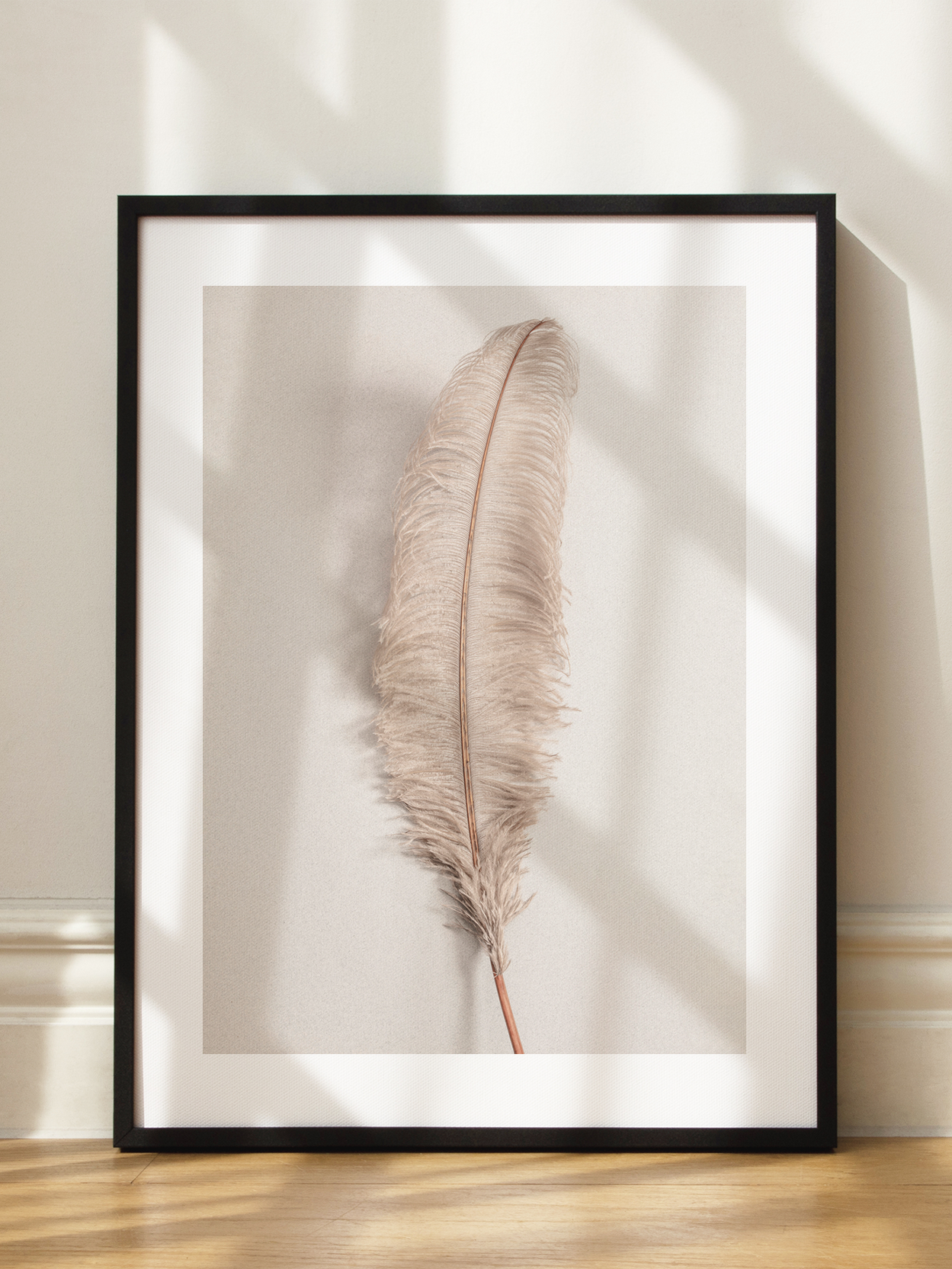 Beige Feather