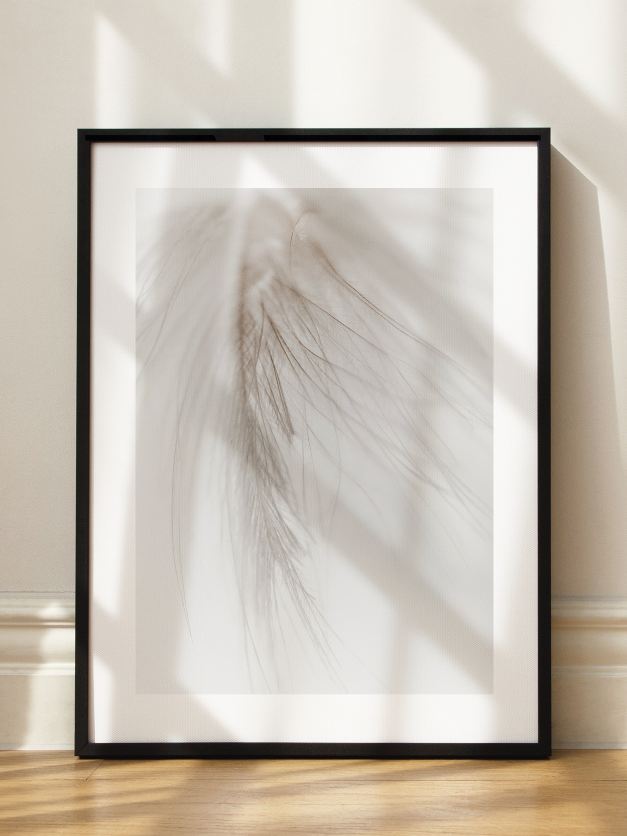 Beige Feather Close Up