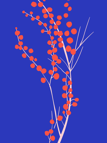 Zweige mit roten Beeren auf blauem Hintergrund.