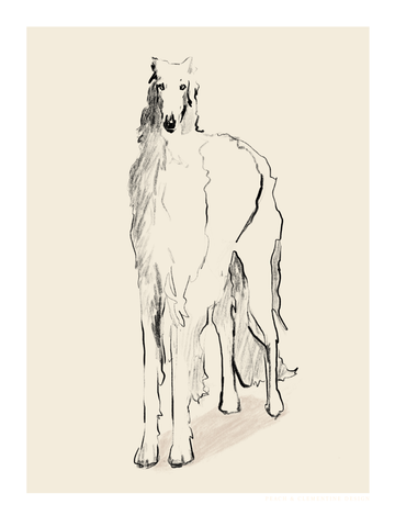 Schwarz-weiße Illustration eines großen Hundes auf beigem Hintergrund.