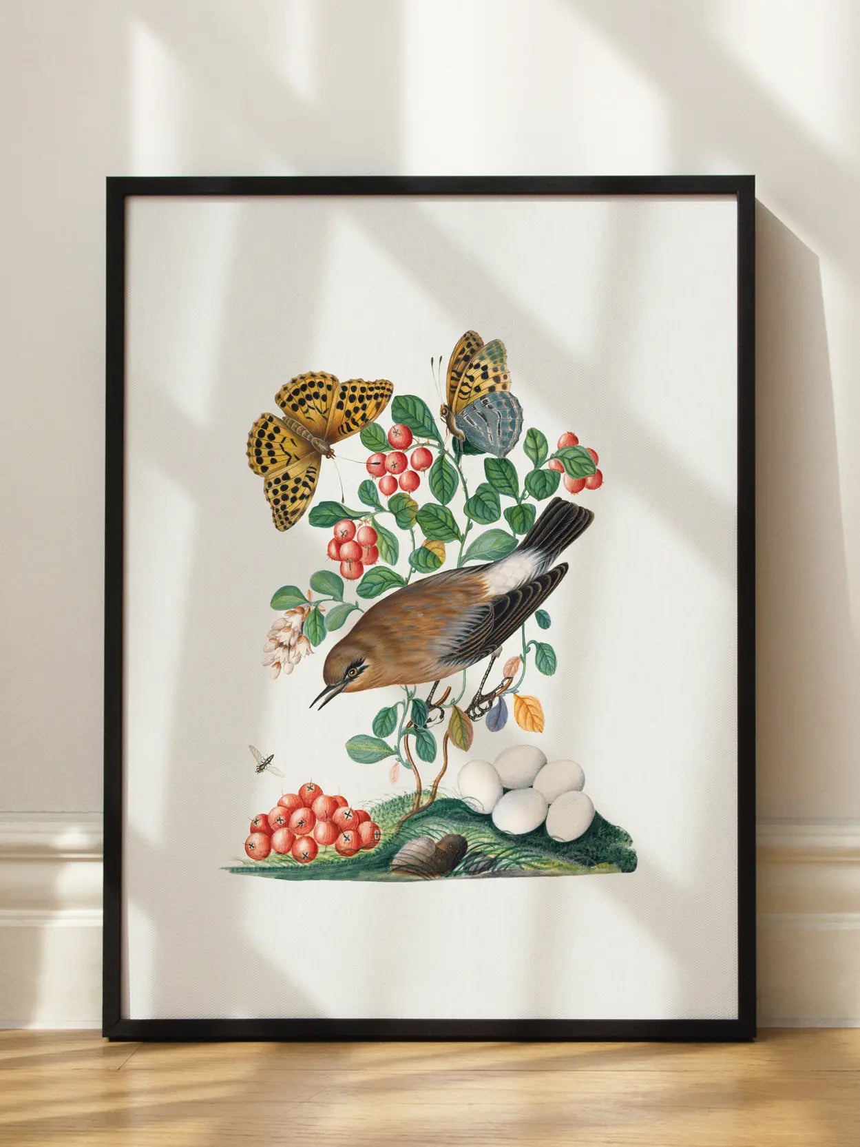 Bird Botanical Illustration Poster