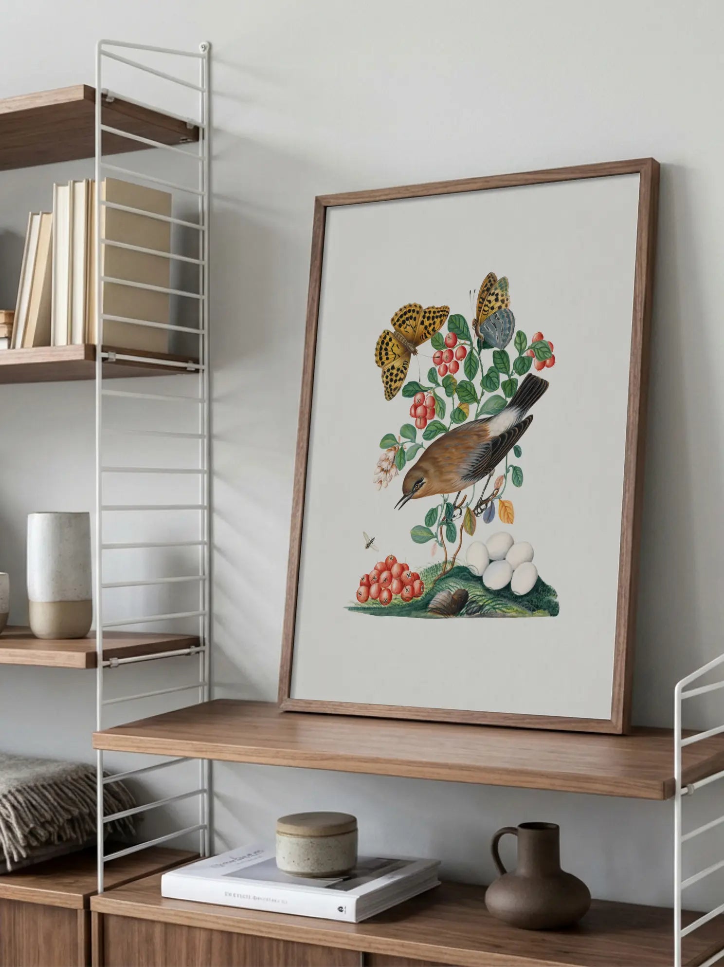 Bird Botanical Illustration Poster