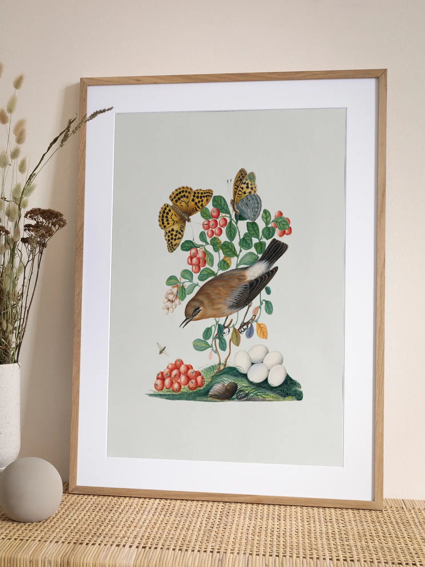 Bird Botanical Illustration Poster